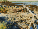 Janet Laird-Lagassee