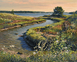 Estuary, Cushing Maine