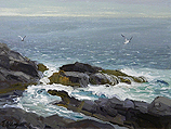 Gray Day on the Rocks