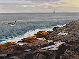 Gulls at Pemaquid