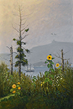 Island Sunflowers