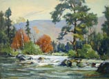 Whitewater
