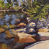 Great Salt Bay Shadows