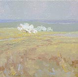 In May Light