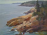 Acadia Shoreline
