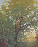 Spring Afternoon