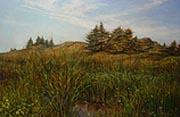 Lobster Cove Field