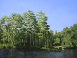 Stone Bridge, Denmark, Maine