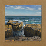 Schoodic Point #4