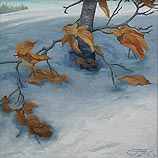 Winter Beech study