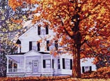 New England Clapboard 5/46