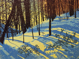 Sunshine Snowfall 13/100