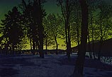 Twilight Village