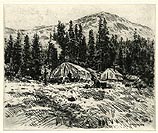 Mountainside Camp 15/100