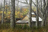 Sugar Shack