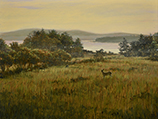 Deer Field, Mount Desert Island