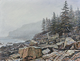 Acadia Toward Otter Cliffs