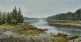Schoodic Quiet