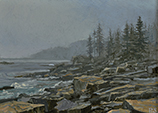 Acadia Fog