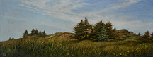 Monhegan Meadow
