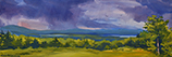 Approaching Storm