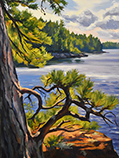 Pitch Pine Overlook