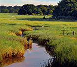 Marsh Greens