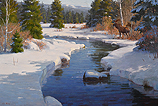 Moose Country