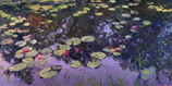 Water Lily Tapestry