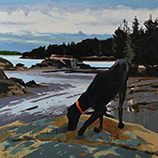 Coastal Hound
