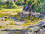 Low Tide Acadia