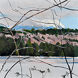 Winter Dreams