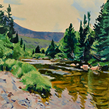 Stream near Daicey Pond