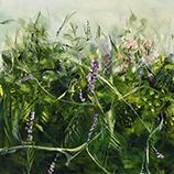 Hedge