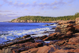 Acadia Shore