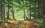Wooded Way