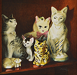 Cabinet of Curiosity