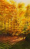 Fall Lines