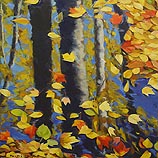 Autumn Reflections