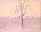 Frosty Morn