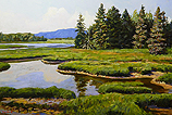 Bass Harbor Marsh