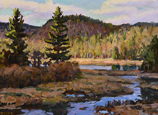 Muskrat Marsh