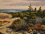 Mid-Day, Cadillac Mountain